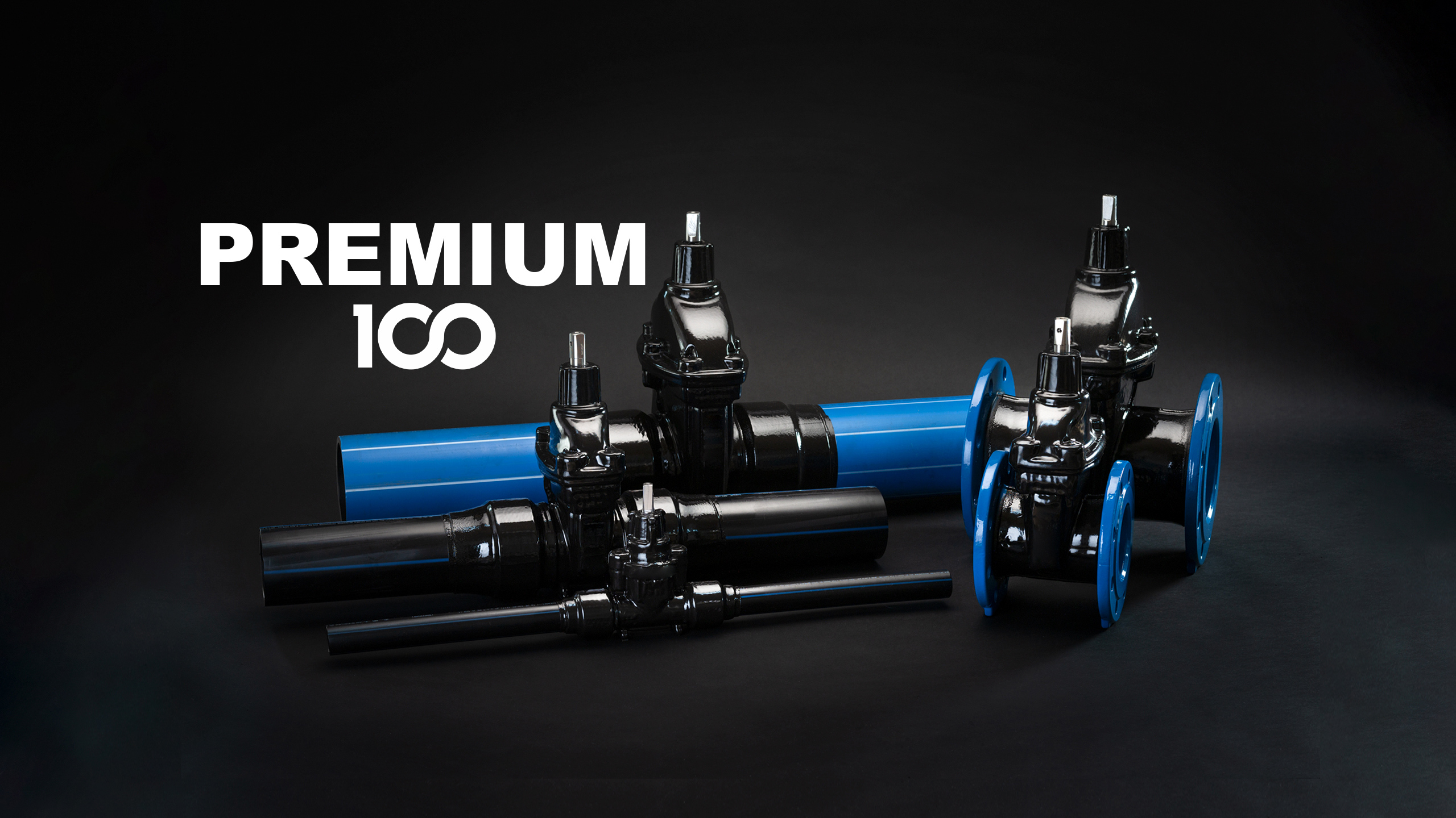 AVK Premium 100 gate valves